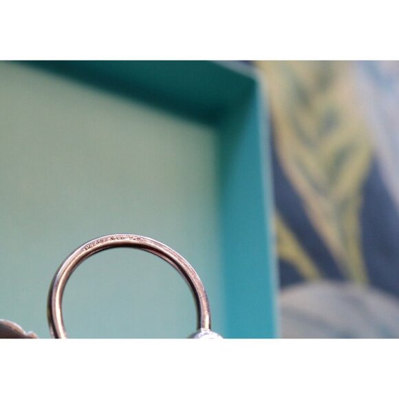 Tiffany & Co. Elsa Peretti Unisex Silver Apple Key Chain 925 Vintage Key Ring - Picture 5 of 6